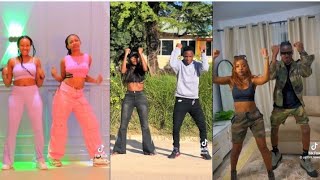 Phina  Ti Ti Ti TikTok Dance Challenge Compilation [upl. by Aroda104]