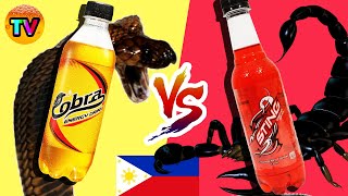 COBRA VS STING  Energy Drinks Review [upl. by Atnod]