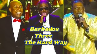 Meet 3 AMAZING BAJAN CALYPSOIANS You Have to Hear Now [upl. by Alidus]