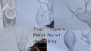 Top 5 types Bird Nest drawing for kids  very easy steps [upl. by Aenotna]