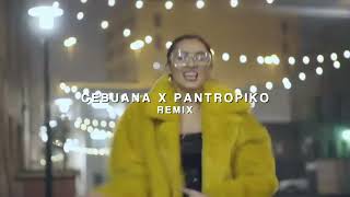 CEBUANA X PANTROPIKO REMIX  Music Video [upl. by Ahsiekram831]