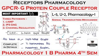 GPCR  G Protein Couple Receptors  cAMP IP3DAG Channel  L5 U2  Pharmacology 4th Semester [upl. by Luttrell14]