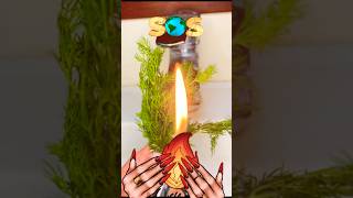 asmr lighter creativelighter experiment [upl. by Ardy]