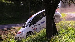 Rallye du Mont Blanc 2014 Crash and Show [upl. by Cassandre]