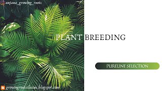 Pureline Selection In Plant Breeding  Malayalam  Plant Breeding Selection Technique [upl. by Aurita]