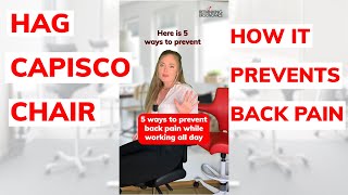 How To Prevent Back Pain with the Hag Capisco Chair 5 ways  rethinkingergonomics [upl. by Nylrem]