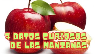 7 datos sorprendentes 😱 que nunca imaginaste sobre las manzanas 🍎 en este 🤩 2023 [upl. by Burman]