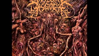 Visceral Disgorge  Ingesting Putridity 2011 Full Length Album [upl. by Suilienroc]