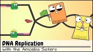 DNA Replication Updated [upl. by Ot]