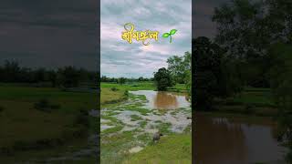 প্রকৃতির আদুরে কন্যা শ্রীমঙ্গল। [upl. by Olds]