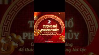 Tượng Hổ Phong Thủy  phongthuytrinhlinh phongthuy kienthuc tamlinh fengshui 12congiap [upl. by Strepphon493]