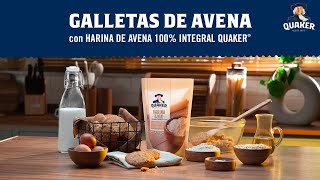 Galletas de Avena Receta extendida [upl. by Einaeg551]