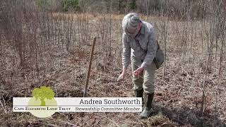 Live Staking Red Twig Dogwood at Runaway Farm [upl. by Taub]