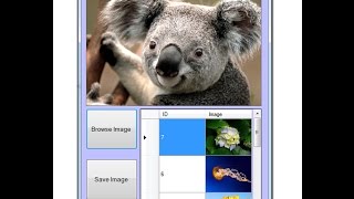 Part  2 how to save picturebox image in c SqlCe table [upl. by Roze]