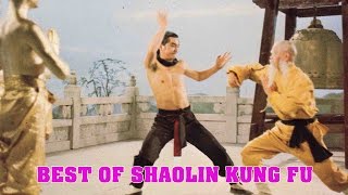 Easy Kungfu for Beginners Step By Step 1  Warm Up  Neigong basic  Puch  Kick and Mix [upl. by Greerson108]