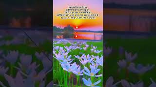 quotDaily Blessings Inspiring Bible Verse for Youquotshorts trending jesuschrist [upl. by Cece]