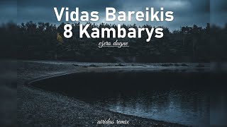 Vidas Bareikis ir 8 Kambarys  Ežero dugne Airidas Remix [upl. by Enyawud]