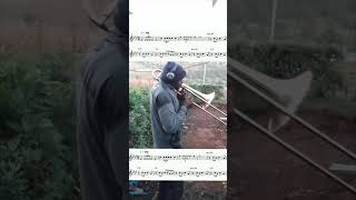 Lilnasx Industry baby trombone cover [upl. by Azar]