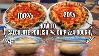 In Depth Understanding Poolish  For Pizza Dough [upl. by Nylissej232]