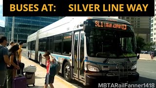 Silver Line Buses at Silver Line Way  MBTARailFanner1418 [upl. by Yren605]