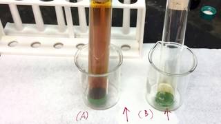 A Sample Tubes StandardizationEquilibrium and Le Chatelier’s Principle [upl. by Moss889]