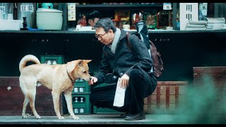 【FILM】HACHIKO 忠犬八公 TRAILER [upl. by Otipaga84]