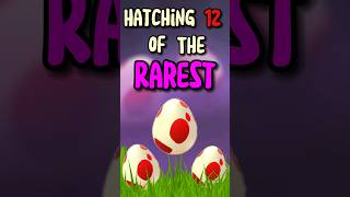 Hatching 12 Of The Rarest Eggs You Can Find in Pokémon Go [upl. by Anaitsirhc]