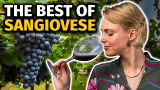 Discovering SANGIOVESE Tasting the Terroirs of Chianti vs Brunello vs Vino Nobile Wines [upl. by Ygief]