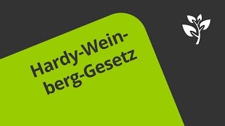 HardyWeinbergGesetz Anwendung  Biologie  Genetik [upl. by Nojram]