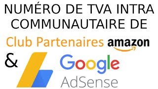 Numéro de TVA intracommunautaire de Google Adsense et Amazon Partenaire [upl. by Irik755]