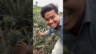 Anaras Ki Khet Ko Deakh Liya 🙄😂😁 funny viral shorts [upl. by Nevear]