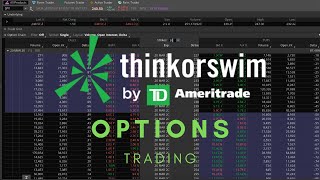 ThinkorSwim Tutorial Options Trading [upl. by Eliot]