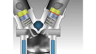 Hydraulic Lifter Tappet [upl. by Hteazile]