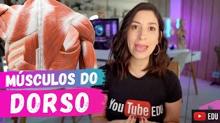 MÚSCULOS superficiais e médios do DORSO [upl. by Akemrehs]