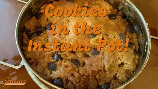 6 Ingredient Flourless Peanut Butter Blondies  Instant Pot Recipe [upl. by Zetram]