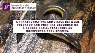 Widespread convergent evolution discovered in unlikely prey species [upl. by Asilehc]