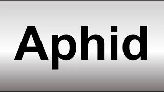 How to Pronounce Aphid [upl. by Enairda]