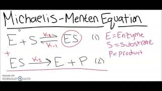 Derivation of the MichaelisMenten Equation StepbyStep [upl. by Ened]