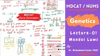 MDCAT  Genetics  Lecture01  Mendelian Genetics  Mendel Laws [upl. by Wilona253]