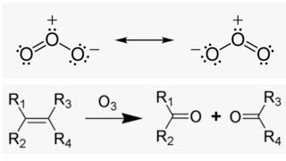 Ozonolysis Reaction Mechanism organic chemistry [upl. by Riamu49]