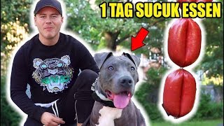 1 TAG lang mit meinem HUND nur SUCUK Essen  😍🥩  EXPERIMENT [upl. by Necaj840]