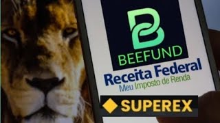 BeeFund  Como não Pagar o Imposto de Renda de Cripto e Não cair na Malha Fina  Link nos Comentário [upl. by Ecinue]