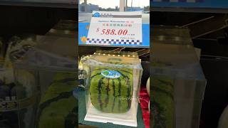 Rs35000 worth watermelon 🍉😲 costliestfruits fruits watermelon trendingshorts youtubeshorts [upl. by Fortna]