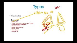 Pleural Effusion  Types  TRANSUDATE versus EXUDATE  Clinical Features  PART 2 [upl. by Sue10]