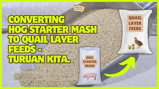 Converting Hog Starter Mash to Quail Layer Feeds  Turuan Kita [upl. by Ingamar]