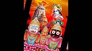 Jagannath swami 🚩🙏🌺 odia bhajan jaganntha shortsvideo shortfeed song [upl. by Meirrak]