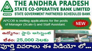 AP STATE COOPERATIVE BANK Jobs Staff Assistant Jobs Eligibility Degree Salary 37000 [upl. by Spooner]