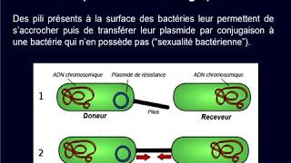 Qualité de leau  transmission de la résistance aux antibiotiques [upl. by O'Reilly]