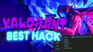 FREE Valorant ESP  Aimbot 🚫 Undetected 2024  Valorant Hacks 🎮 [upl. by Nivaj]