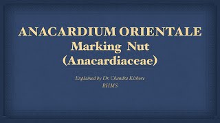 Anacardium Orientale  Allen’s Keynotes  Well Explained [upl. by Kawai]